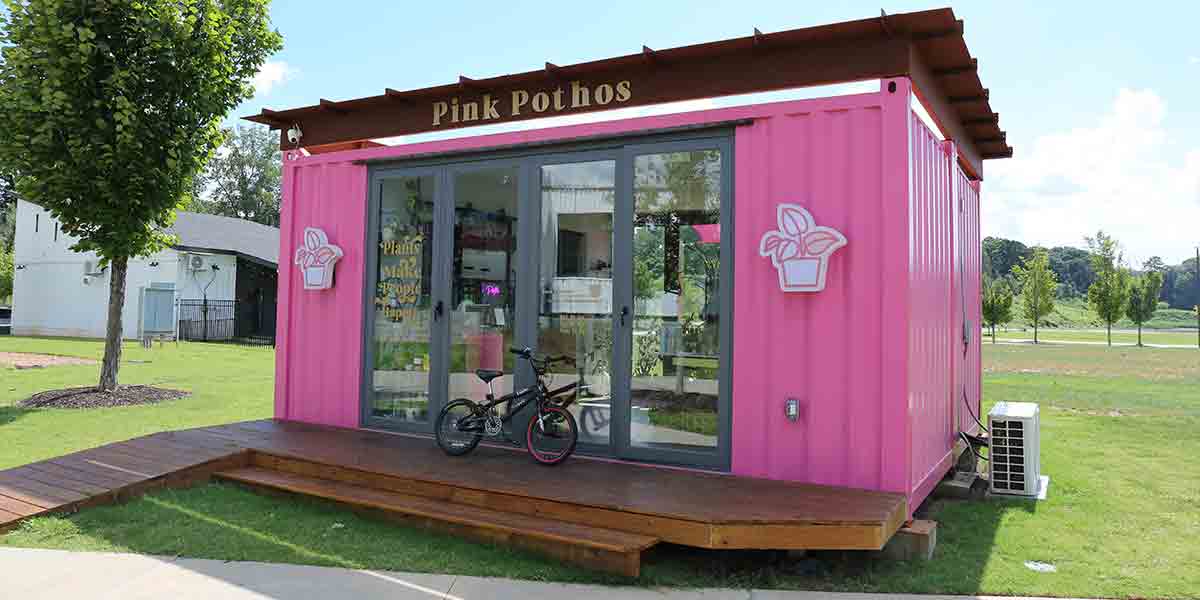 Pink Pothos: One of Atlanta’s Chicest Plant Boutiques